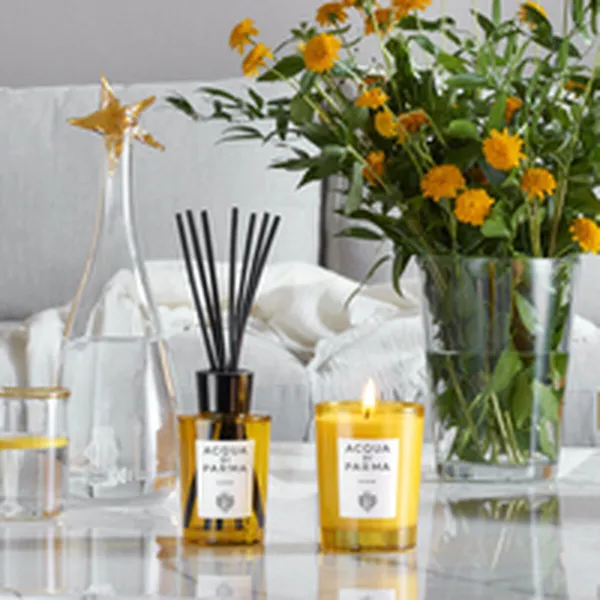 Gaisa Atsvaidzinātājs Acqua Di Parma INSIEME 180 ml
