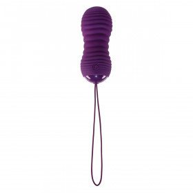 Bullet Vibrator Evolved Purple