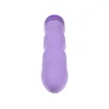 Bullet Vibrator Evolved Purple