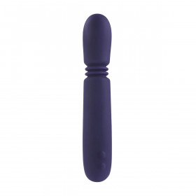 Bullet Vibrator Evolved Purple