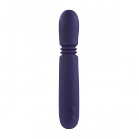 Bullet Vibrator Evolved Purple