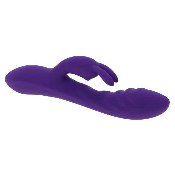 G-Spot Vibrator Evolved Rabbit Purple