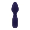 Vibrator Evolved Purple