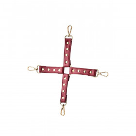 Adjustable Rope Bondage Kit Dream Toys Blaze