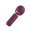 Erotic Toy Cleanser Dream Toys Glam Purple