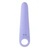 Vibrator Evolved Purple