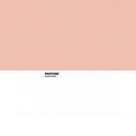 Nordic cover Pantone Sweet Peach Double (220 x 220 cm)