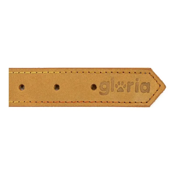 Dog collar Gloria Oasis Yellow (70 x 3 cm)