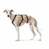 Dog Harness Hunter Black L M/L