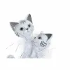 Decorative Figure DKD Home Decor 15 x 10 x 29 cm White Cats Romantic