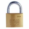 Key padlock IFAM K50 Brass normal (5 cm)