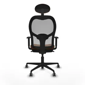 Carrier Skudo (55 x 36 x 35 cm)