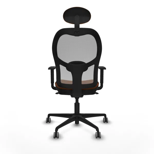 Carrier Skudo (55 x 36 x 35 cm)