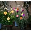 Solar light Lumineo Flower Solar 11 x 6 x 49,5 cm Multicolour