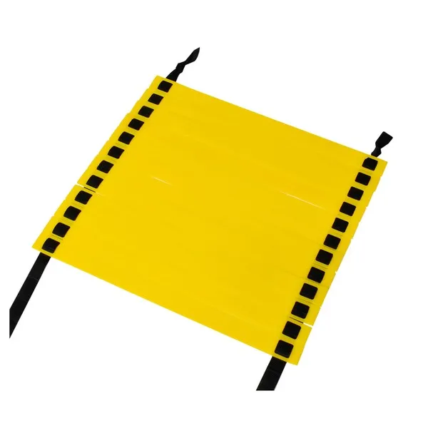 Training ladder