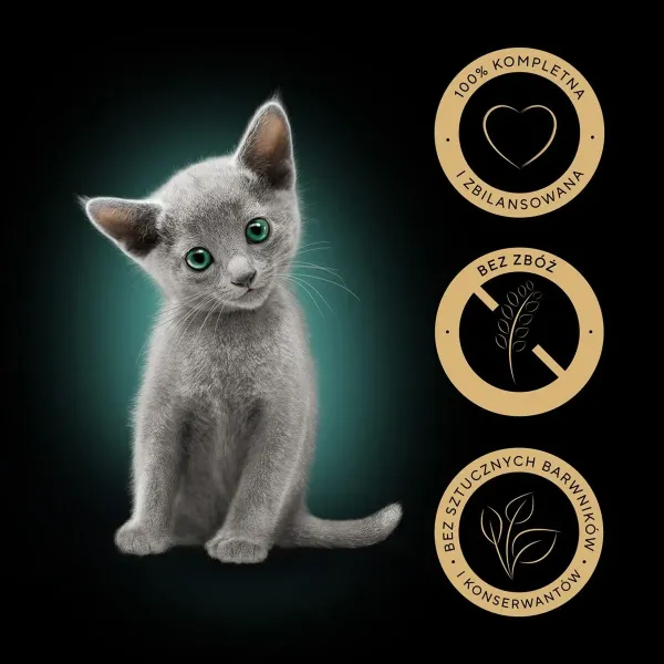 Bike stand Dunlop Floor 2 places 27 x 40 x 32,5 cm Steel