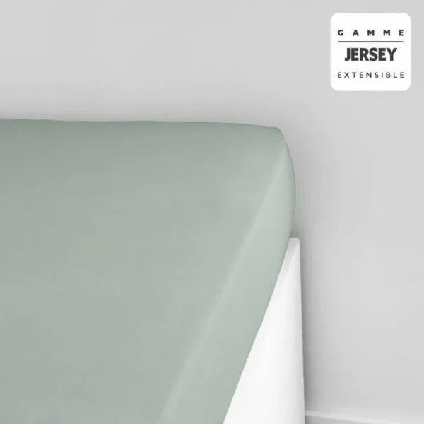 Fitted bottom sheet TODAY Jersey Light Green 140 x 190 cm