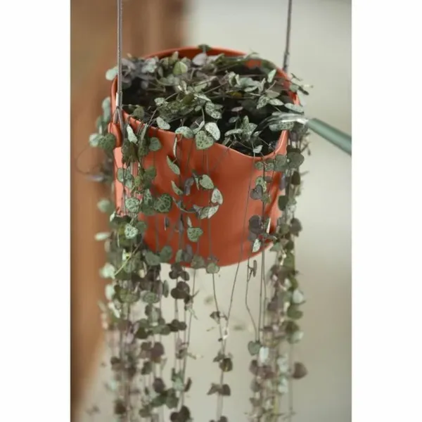 Hanging Planter Elho Plastic Ø 30 cm