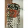 Hanging Planter Elho Plastic Ø 30 cm