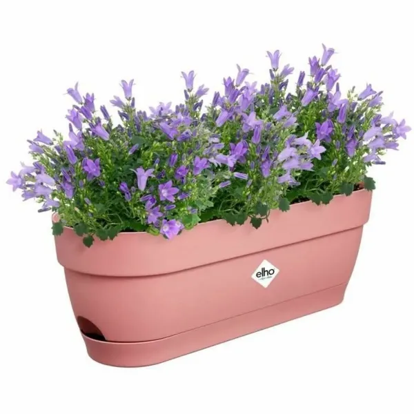 Planter Elho Pink Plastic