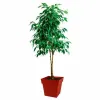 Plant pot EDA Plastic 39 cm