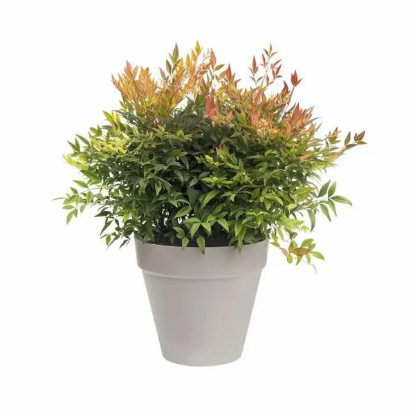 Plant pot Elho Grey
