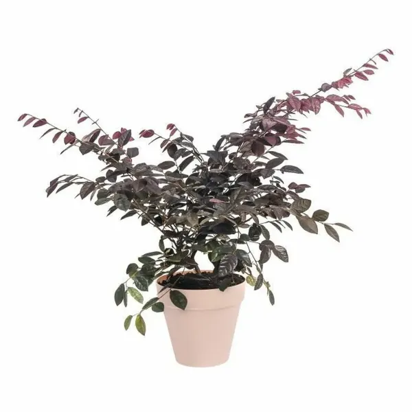Plant pot Elho Red Ø 30 cm