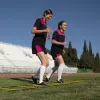 Training ladder