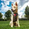 Dog Harness Marvel M/L Red
