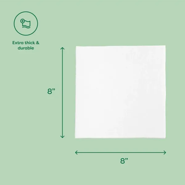 Wipes Earth Rated 100 Units