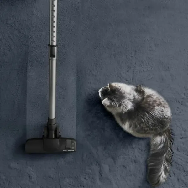 Extractor Rowenta RO7C66EA