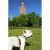 Dog Harness Matteo 38-64 cm Printed