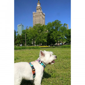 Dog Harness Matteo 52-88 cm Printed