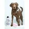 Pet shampoo Wahl 3999-7010 750 ml White