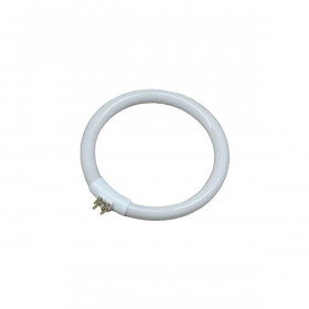 Fluorescent pipe EDM 30287 Replacement Circular T4 White 12 W (6500 K)