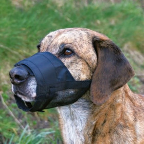 Muzzle Trixie Black S