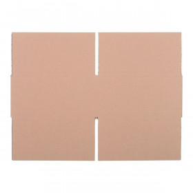 Box Nc System Cardboard 20 x 10 x 20 cm (20 Units)
