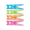 Clothes Pegs Multicolour Plastic 24 Pieces Set (24 Units)