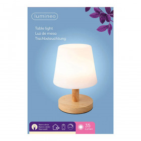 LED Table Lamp Lumineo 894386 Metal 22 cm Rechargeable