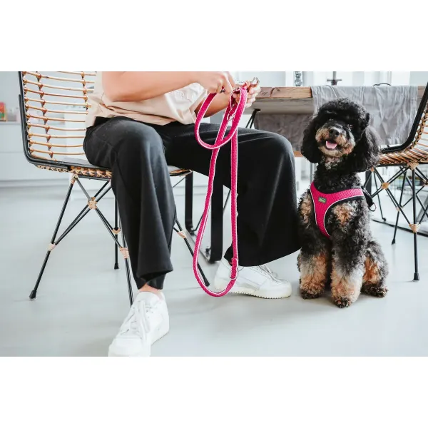 Dog Harness Hunter Comfort Fuchsia 30-35 cm
