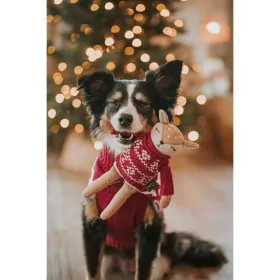 Stain-proof resined tablecloth Belum Noel Multicolour 200 x 180 cm