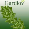 Artificial ivy - garland 50.4m Gardlov 19737