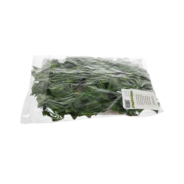 Artificial ivy - garland 50.4m Gardlov 19737