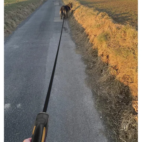 Automatic dog leash 8m/50kg Purlov 19786