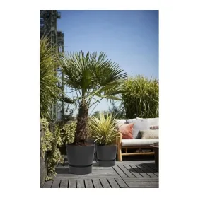 Nordic cover HappyFriday Coral reef Multicolour 155 x 220 cm