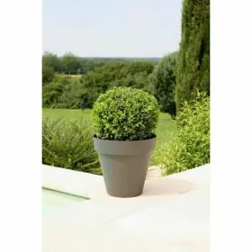 Nordic cover HappyFriday BASIC Black 240 x 220 cm