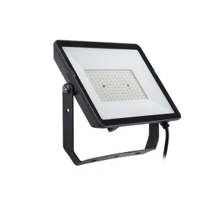 Floodlight/Projector Light Philips Proyector Black