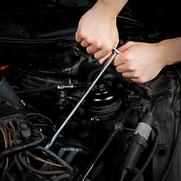 Nordic cover Decolores Toulouse Multicolour 175 Threads 260 x 240 cm Bottleneck