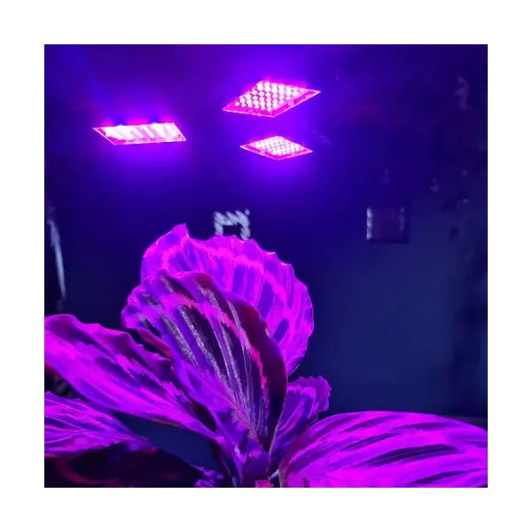 Gardlov 20440 108 LED augalų augimo lempa