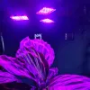 108 LED-kasvien kasvulamppu Gardlov 20440